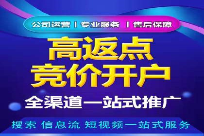 百度竞价赚钱的实战案例分析