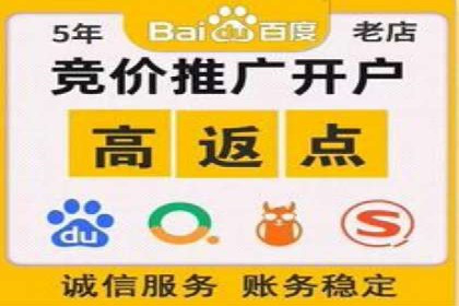 SEM推广优化策略：实战案例分析